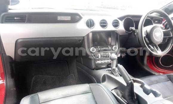 Buy Used FORD MUSTANG Red Car in Windhoek in Namibia Buy Used FORD MUSTANG Red Car in Windhoek in Namibia
