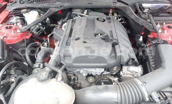 Buy Used FORD MUSTANG Red Car in Windhoek in Namibia Buy Used FORD MUSTANG Red Car in Windhoek in Namibia