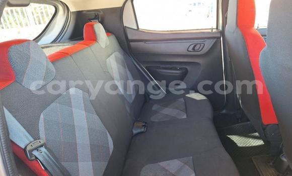 Buy Used Renault KWID Silver Car in Katima Mulilo in Caprivi Buy Used Renault KWID Silver Car in Katima Mulilo in Caprivi