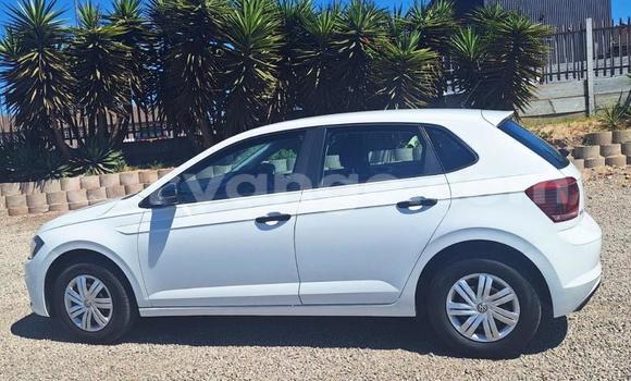 Buy Used Volkswagen Polo White Car in Windhoek in Namibia Buy Used Volkswagen Polo White Car in Windhoek in Namibia