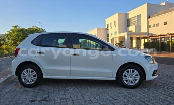 Buy Used Volkswagen Polo White Car in Gobabis in Omaheke Buy Used Volkswagen Polo White Car in Gobabis in Omaheke