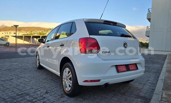 Buy Used Volkswagen Polo White Car in Gobabis in Omaheke Buy Used Volkswagen Polo White Car in Gobabis in Omaheke