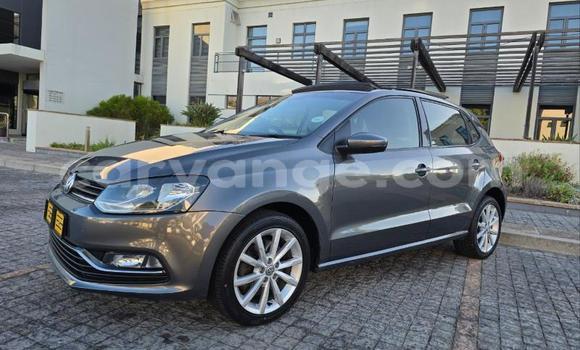 Buy Used Volkswagen Polo Other Car in Gobabis in Omaheke Buy Used Volkswagen Polo Other Car in Gobabis in Omaheke