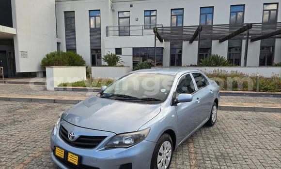 Buy Used Toyota Corolla Blue Car in Gobabis in Omaheke