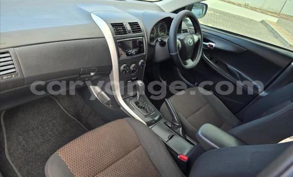 Buy Used Toyota Corolla Blue Car in Gobabis in Omaheke Buy Used Toyota Corolla Blue Car in Gobabis in Omaheke