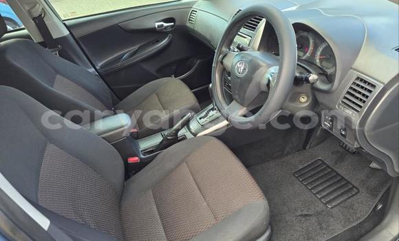 Buy Used Toyota Corolla Blue Car in Gobabis in Omaheke Buy Used Toyota Corolla Blue Car in Gobabis in Omaheke