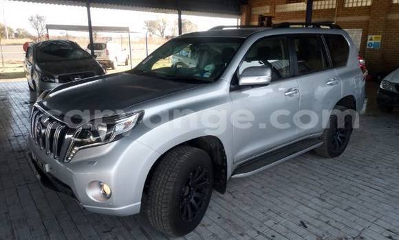 Buy Used Toyota Prado Silver Car in Swakopmund in Namibia Buy Used Toyota Prado Silver Car in Swakopmund in Namibia