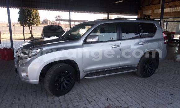 Buy Used Toyota Prado Silver Car in Swakopmund in Namibia Buy Used Toyota Prado Silver Car in Swakopmund in Namibia