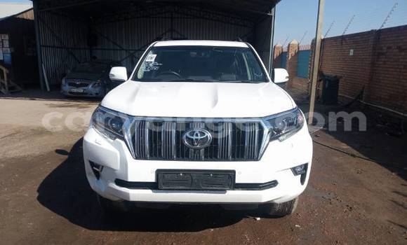 Buy Used Toyota Prado White Car in Walvis Bay in Namibia Buy Used Toyota Prado White Car in Walvis Bay in Namibia