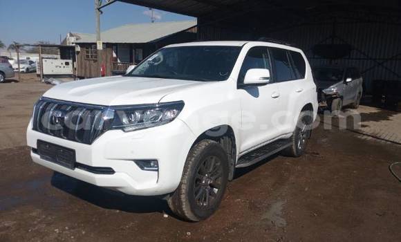Buy Used Toyota Prado White Car in Walvis Bay in Namibia Buy Used Toyota Prado White Car in Walvis Bay in Namibia