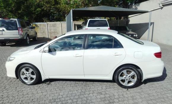 Acheter Occasion Voiture Toyota Corolla Blanc à Gobabis, Omaheke Acheter Occasion Voiture Toyota Corolla Blanc à Gobabis, Omaheke