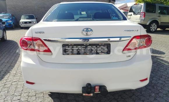 Acheter Occasion Voiture Toyota Corolla Blanc à Gobabis, Omaheke Acheter Occasion Voiture Toyota Corolla Blanc à Gobabis, Omaheke