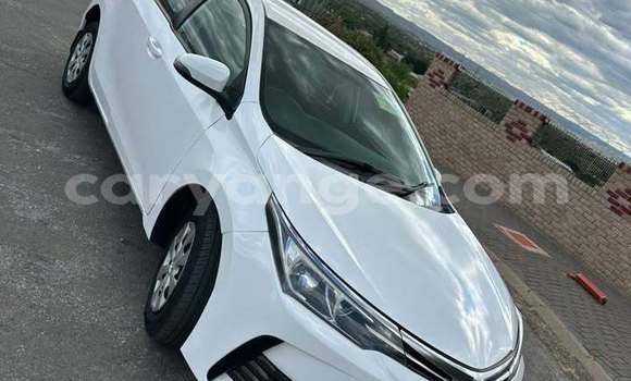 Buy Used Toyota Corolla White Car in Windhoek in Namibia Buy Used Toyota Corolla White Car in Windhoek in Namibia