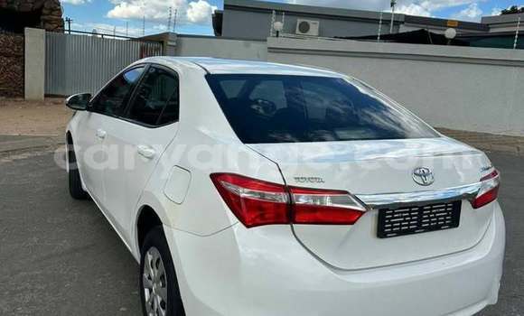 Buy Used Toyota Corolla White Car in Windhoek in Namibia Buy Used Toyota Corolla White Car in Windhoek in Namibia