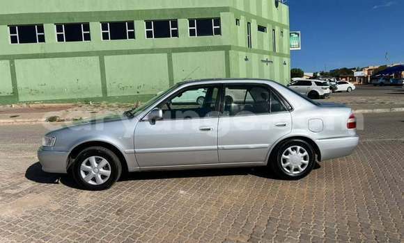 Buy Used Toyota Corolla Other Car in Windhoek in Namibia Buy Used Toyota Corolla Other Car in Windhoek in Namibia