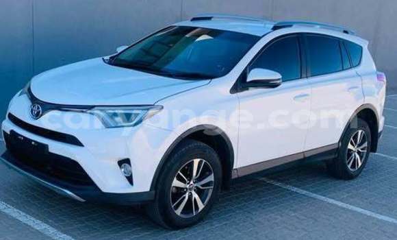 Buy Used Toyota RAV4 White Car in Windhoek in Namibia