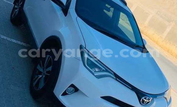 Buy Used Toyota RAV4 White Car in Windhoek in Namibia Buy Used Toyota RAV4 White Car in Windhoek in Namibia