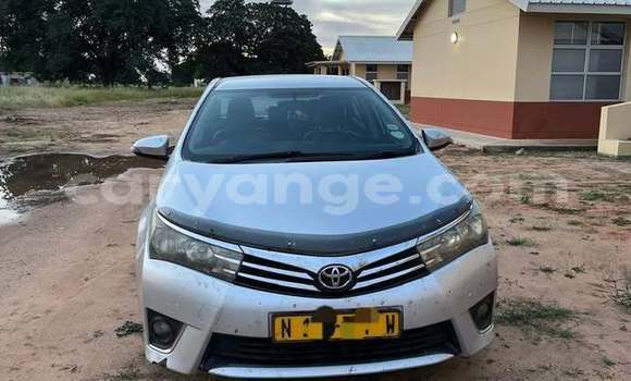 Buy Used Toyota Corolla Other Car in Windhoek in Namibia