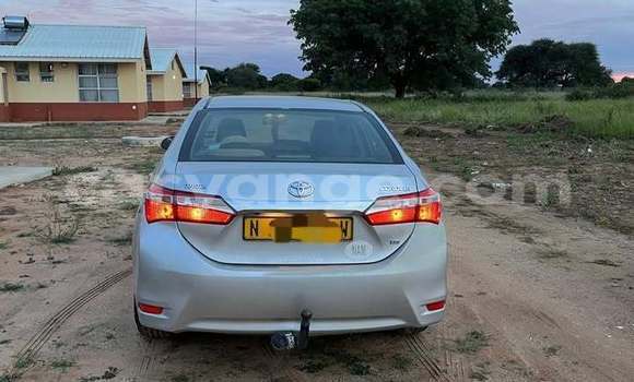 Buy Used Toyota Corolla Other Car in Windhoek in Namibia Buy Used Toyota Corolla Other Car in Windhoek in Namibia