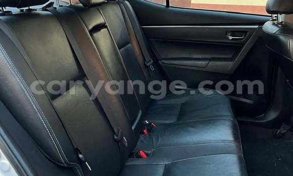 Buy Used Toyota Corolla Other Car in Windhoek in Namibia Buy Used Toyota Corolla Other Car in Windhoek in Namibia