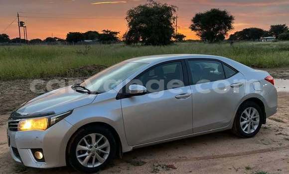 Buy Used Toyota Corolla Other Car in Windhoek in Namibia Buy Used Toyota Corolla Other Car in Windhoek in Namibia