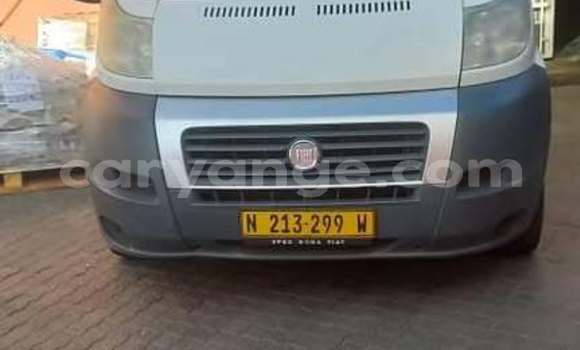 Buy Used Fiat Duna White Car in Windhoek in Namibia