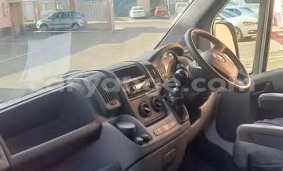 Buy Used Fiat Duna White Car in Windhoek in Namibia Buy Used Fiat Duna White Car in Windhoek in Namibia