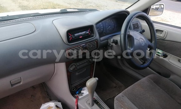 Buy Used Dacia Duster White Car in Windhoek in Namibia Buy Used Dacia Duster White Car in Windhoek in Namibia