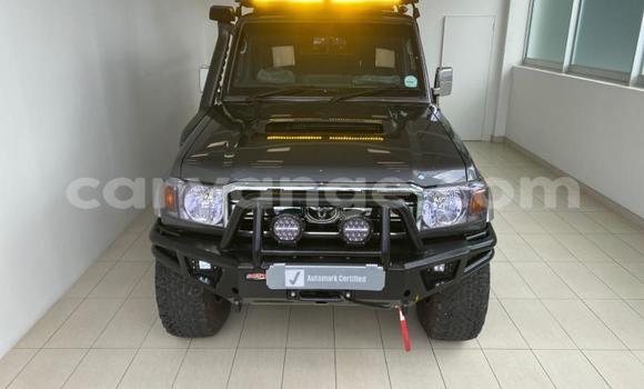 Buy Used Toyota Land Cruiser Black Car in Windhoek in Namibia