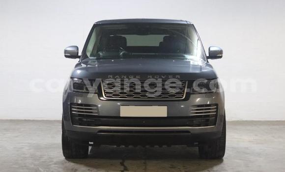 Buy Used Land Rover Range Rover Silver Car in Gobabis in Omaheke