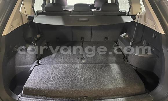Buy Used Volkswagen Tiguan Silver Car in Gobabis in Omaheke Buy Used Volkswagen Tiguan Silver Car in Gobabis in Omaheke