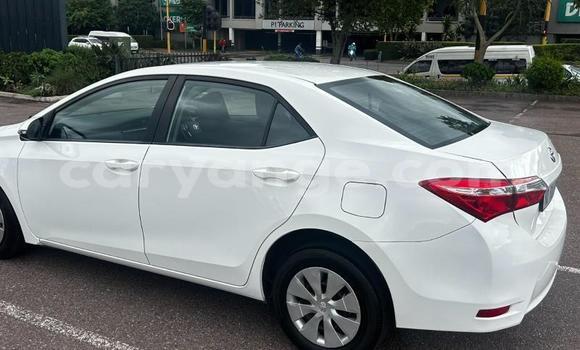 Acheter Occasion Voiture Toyota Corolla Blanc à Gobabis, Omaheke Acheter Occasion Voiture Toyota Corolla Blanc à Gobabis, Omaheke