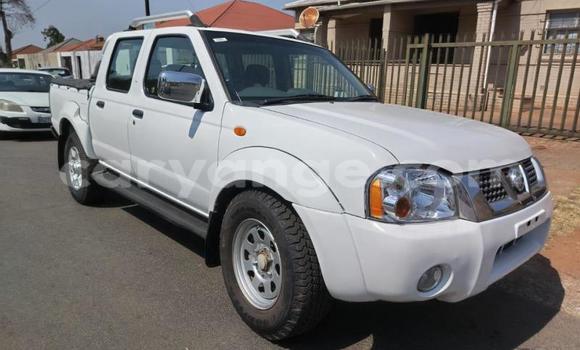 Buy Used Nissan NP 300 White Car in Gobabis in Omaheke