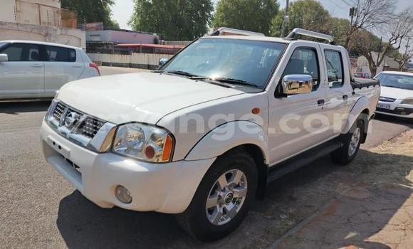 Acheter Occasion Voiture Nissan NP 300 Blanc à Gobabis, Omaheke Acheter Occasion Voiture Nissan NP 300 Blanc à Gobabis, Omaheke