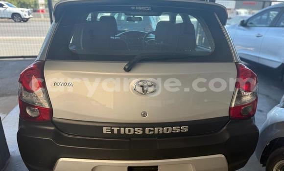 Acheter Occasion Voiture Toyota Etios Gris à Gobabis, Omaheke Acheter Occasion Voiture Toyota Etios Gris à Gobabis, Omaheke