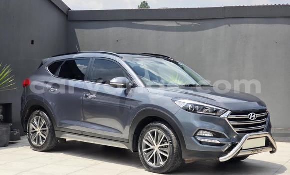 Acheter Occasion Voiture Hyundai Tucson Autre à Gobabis, Omaheke Acheter Occasion Voiture Hyundai Tucson Autre à Gobabis, Omaheke