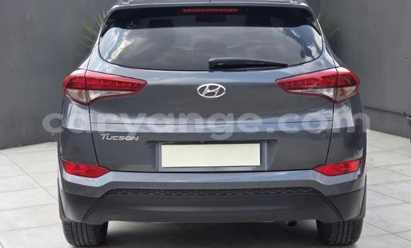 Acheter Occasion Voiture Hyundai Tucson Autre à Gobabis, Omaheke Acheter Occasion Voiture Hyundai Tucson Autre à Gobabis, Omaheke