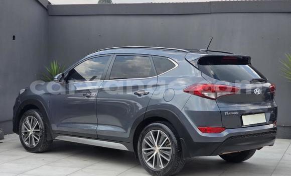 Acheter Occasion Voiture Hyundai Tucson Autre à Gobabis, Omaheke Acheter Occasion Voiture Hyundai Tucson Autre à Gobabis, Omaheke