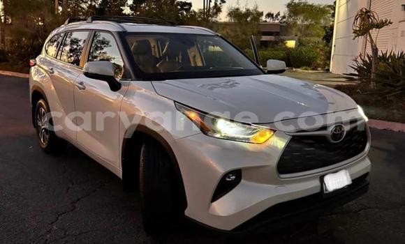 Buy Used Toyota Highlander White Car in Swakopmund in Namibia