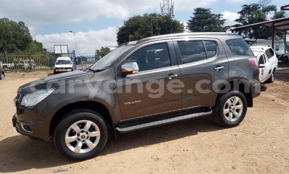 Buy Used Chevrolet TrailBlazer Brown Car in Gobabis in Omaheke