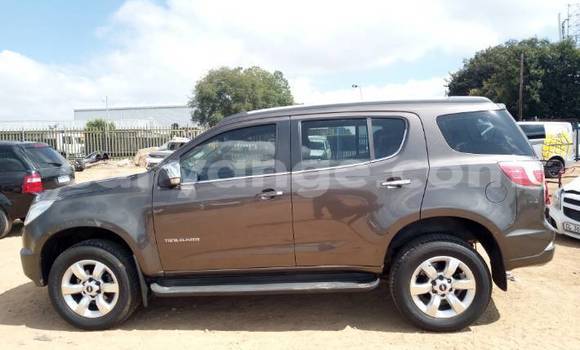Buy Used Chevrolet TrailBlazer Brown Car in Gobabis in Omaheke Buy Used Chevrolet TrailBlazer Brown Car in Gobabis in Omaheke