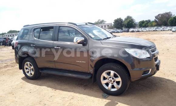 Buy Used Chevrolet TrailBlazer Brown Car in Gobabis in Omaheke Buy Used Chevrolet TrailBlazer Brown Car in Gobabis in Omaheke