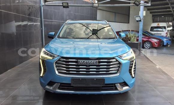 Buy Used Haval Jolion Blue Car in Gobabis in Omaheke