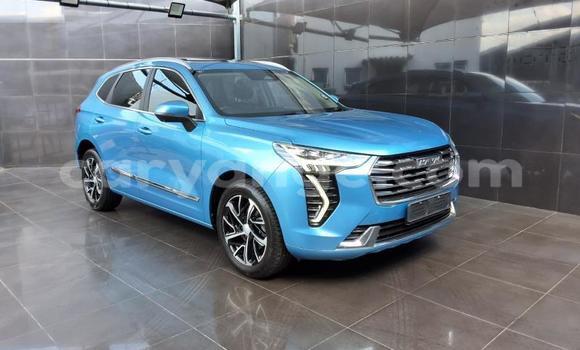 Buy Used Haval Jolion Blue Car in Gobabis in Omaheke Buy Used Haval Jolion Blue Car in Gobabis in Omaheke