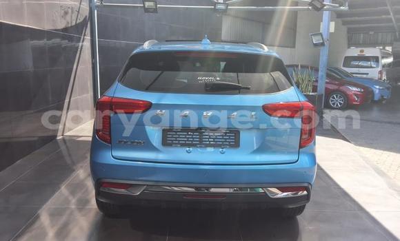 Buy Used Haval Jolion Blue Car in Gobabis in Omaheke Buy Used Haval Jolion Blue Car in Gobabis in Omaheke