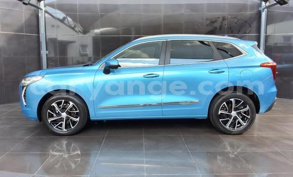 Buy Used Haval Jolion Blue Car in Gobabis in Omaheke Buy Used Haval Jolion Blue Car in Gobabis in Omaheke