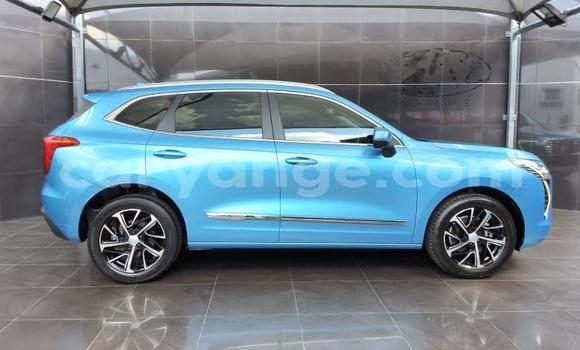 Buy Used Haval Jolion Blue Car in Gobabis in Omaheke Buy Used Haval Jolion Blue Car in Gobabis in Omaheke
