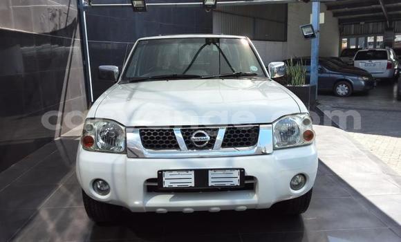 Buy Used Nissan Hardbody White Car in Gobabis in Omaheke