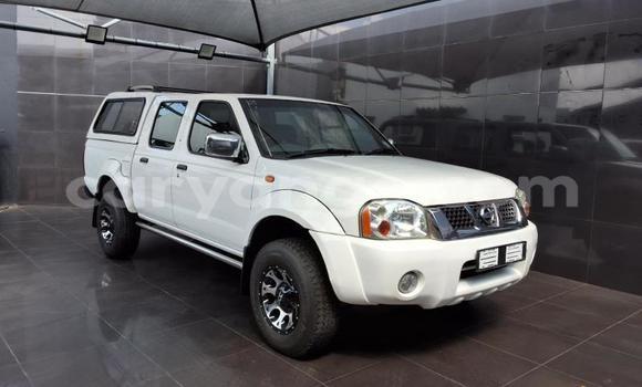 Buy Used Nissan Hardbody White Car in Gobabis in Omaheke Buy Used Nissan Hardbody White Car in Gobabis in Omaheke