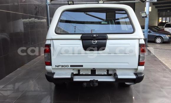 Buy Used Nissan Hardbody White Car in Gobabis in Omaheke Buy Used Nissan Hardbody White Car in Gobabis in Omaheke
